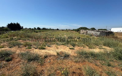 Parcela de 2.000 m2 en Venta Tocino con 4 escrituras independientes